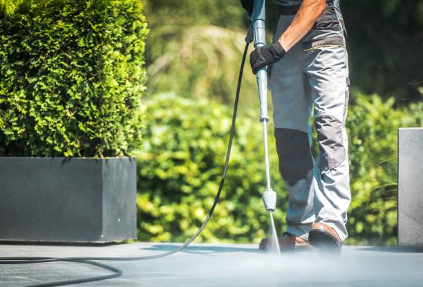Solar Panel Cleaning in Brighton, IL